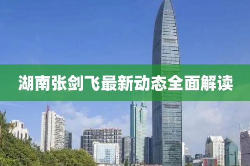 湖南張劍飛最新動態(tài)全面解讀