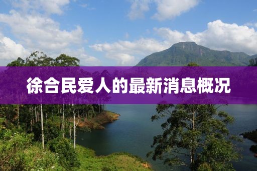 徐合民愛人的最新消息概況