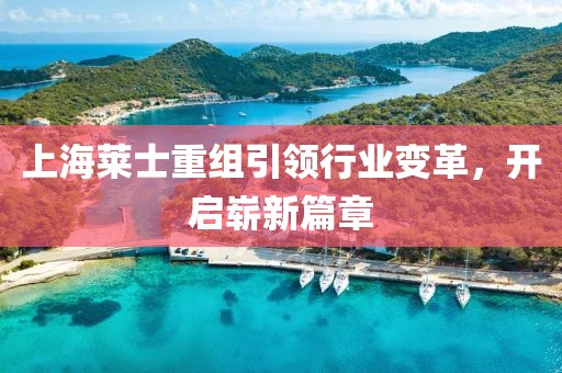 上海萊士重組引領(lǐng)行業(yè)變革，開(kāi)啟嶄新篇章
