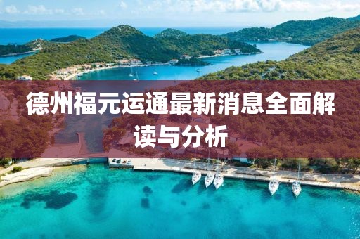 德州福元運(yùn)通最新消息全面解讀與分析
