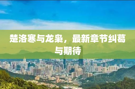 楚洛寒與龍梟，最新章節(jié)糾葛與期待