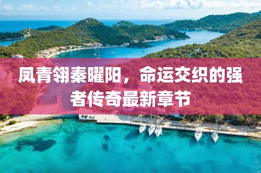鳳青翎秦曜陽(yáng)，命運(yùn)交織的強(qiáng)者傳奇最新章節(jié)