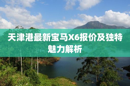 天津港最新寶馬X6報(bào)價(jià)及獨(dú)特魅力解析
