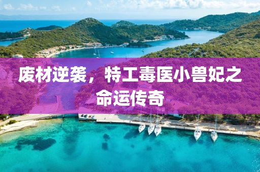 廢材逆襲，特工毒醫(yī)小獸妃之命運(yùn)傳奇