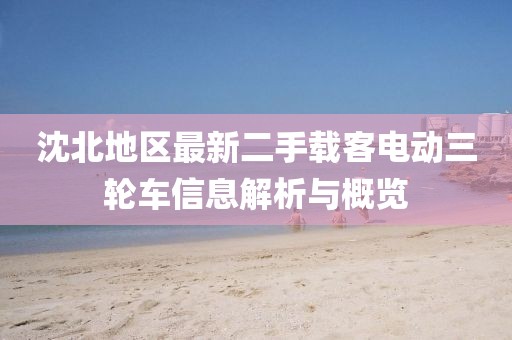 沈北地區(qū)最新二手載客電動三輪車信息解析與概覽
