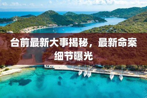 臺前最新大事揭秘，最新命案細節(jié)曝光
