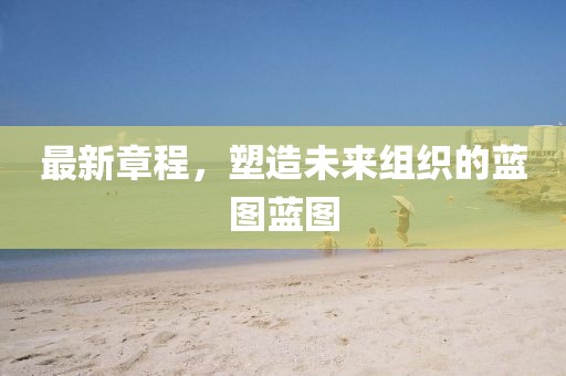 最新章程，塑造未來組織的藍(lán)圖藍(lán)圖