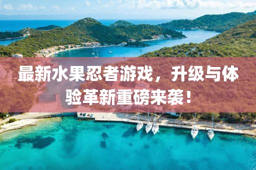 最新水果忍者游戲，升級與體驗(yàn)革新重磅來襲！