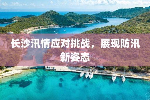 長(zhǎng)沙汛情應(yīng)對(duì)挑戰(zhàn)，展現(xiàn)防汛新姿態(tài)