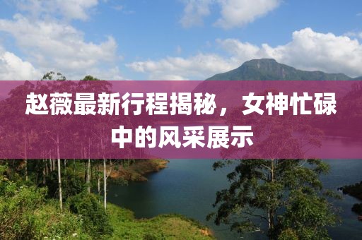 趙薇最新行程揭秘，女神忙碌中的風(fēng)采展示