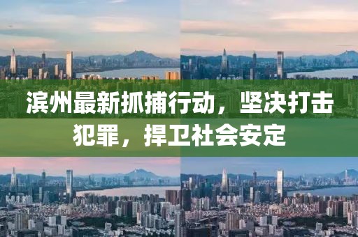 濱州最新抓捕行動(dòng)，堅(jiān)決打擊犯罪，捍衛(wèi)社會(huì)安定