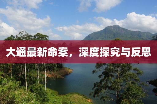 大通最新命案，深度探究與反思