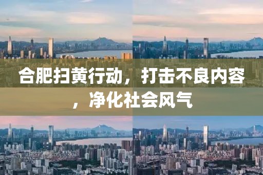 合肥掃黃行動，打擊不良內(nèi)容，凈化社會風(fēng)氣