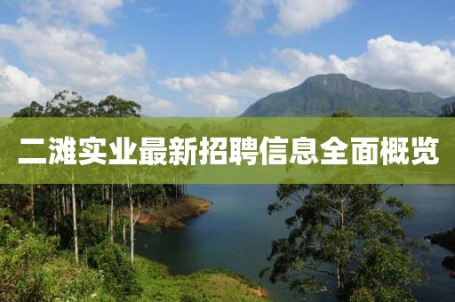二灘實業(yè)最新招聘信息全面概覽