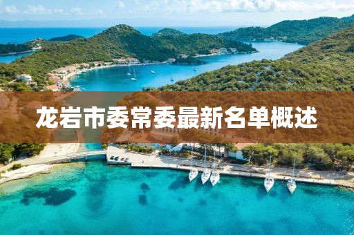 龍巖市委常委最新名單概述